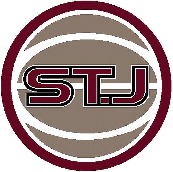 St. John's Red Storm 2004-2006 Alternate Logo iron on transfers for clothing
